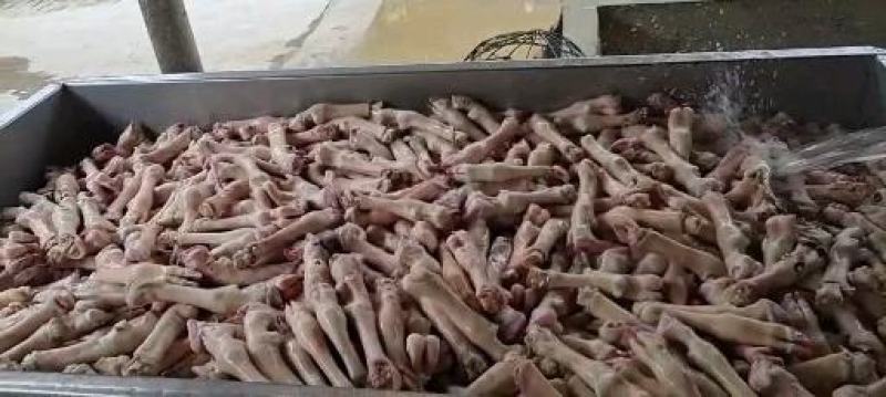 育肥羊蹄白蹄不抽筋干净无毛一手货源厂家直销只批发不零售