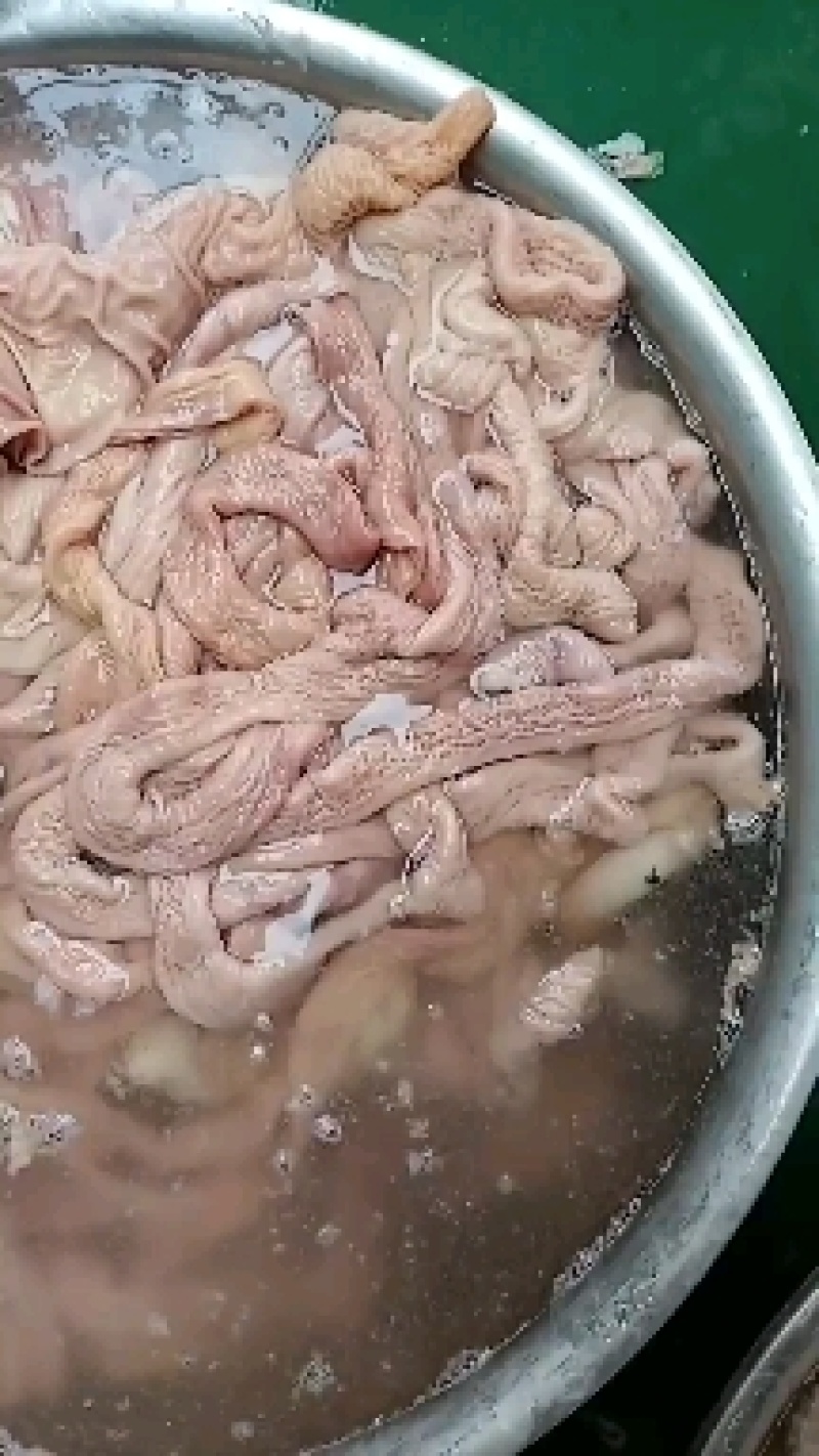 板肠，免水洗，一手货源，支持线上交易欢迎选购！
