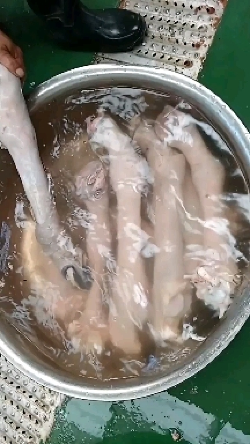 板肠，免水洗，一手货源，支持线上交易欢迎选购！