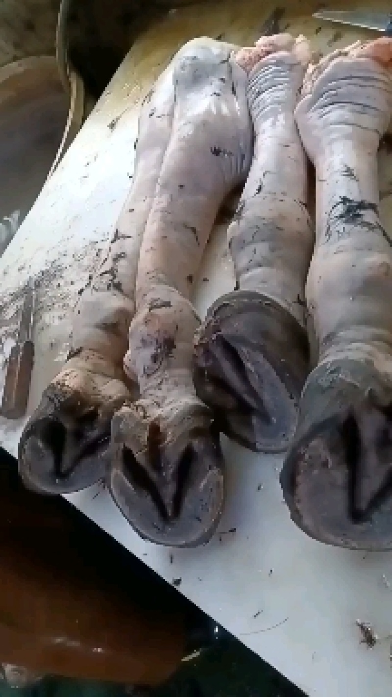 板肠，免水洗，一手货源，支持线上交易欢迎选购！