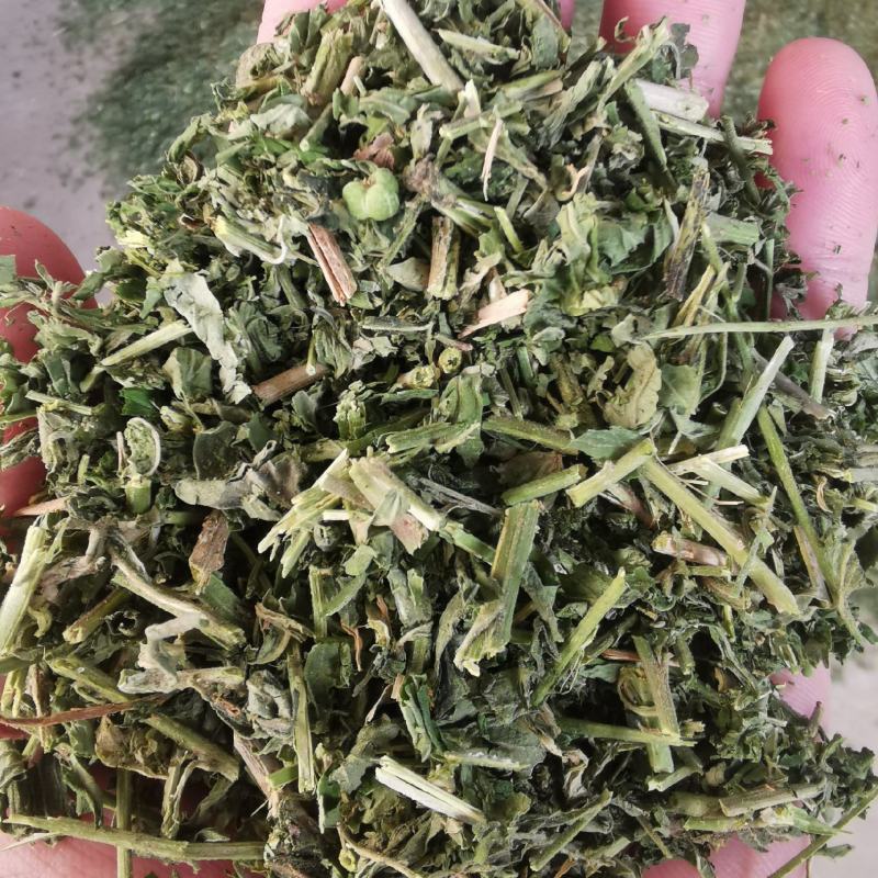 透骨草，颜色青刀工好过筛过沫，一手货源