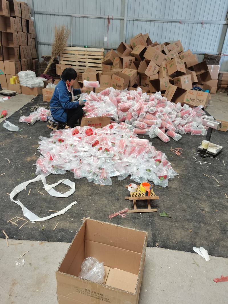 羊角蜜甜瓜，产地代发，对接电商，团购，超市，供应店