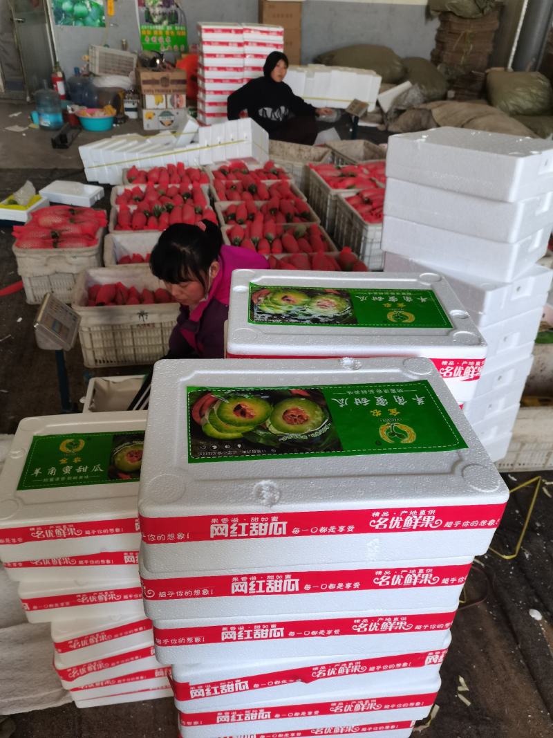 羊角蜜甜瓜，产地代发，对接电商，团购，超市，供应店