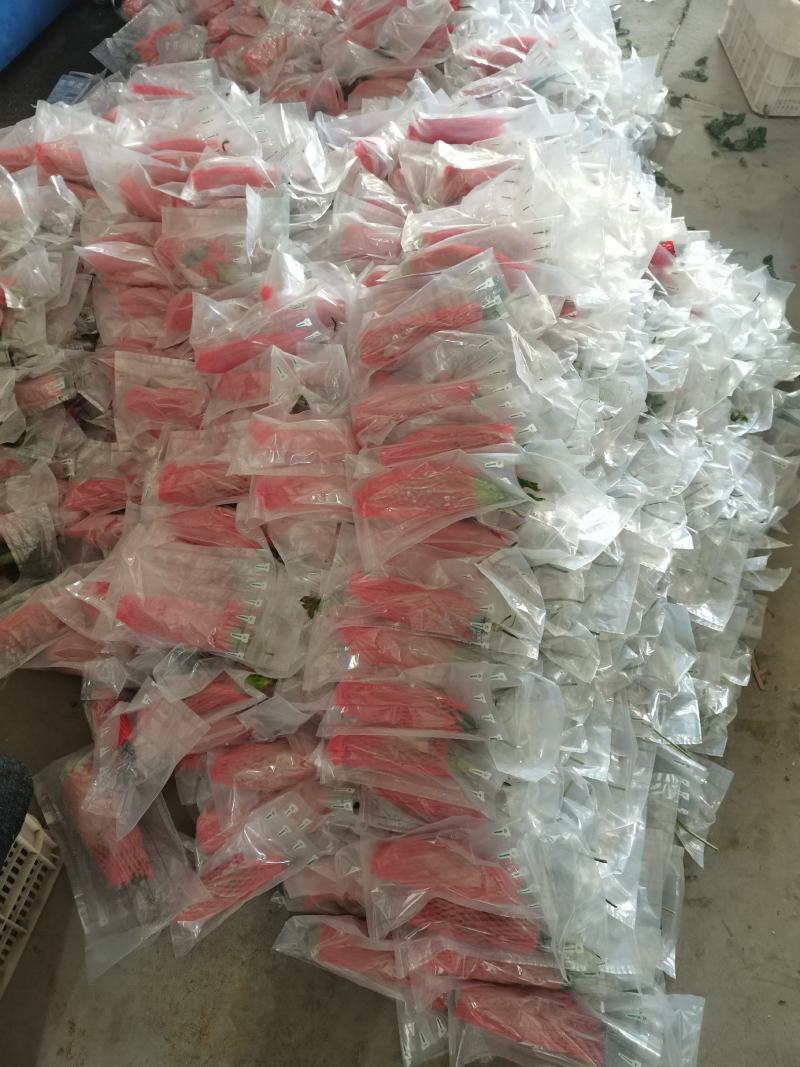羊角蜜甜瓜，产地代发，对接电商，团购，超市，供应店