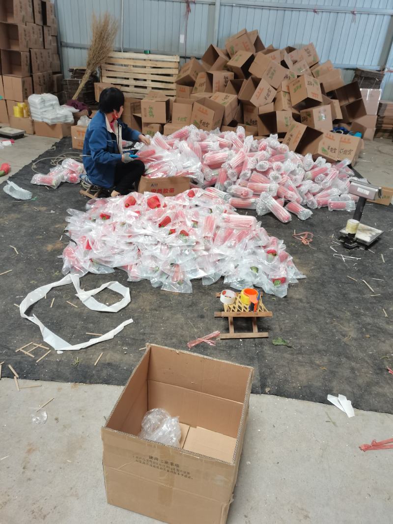 羊角蜜甜瓜，产地代发，对接电商，团购，超市，供应店