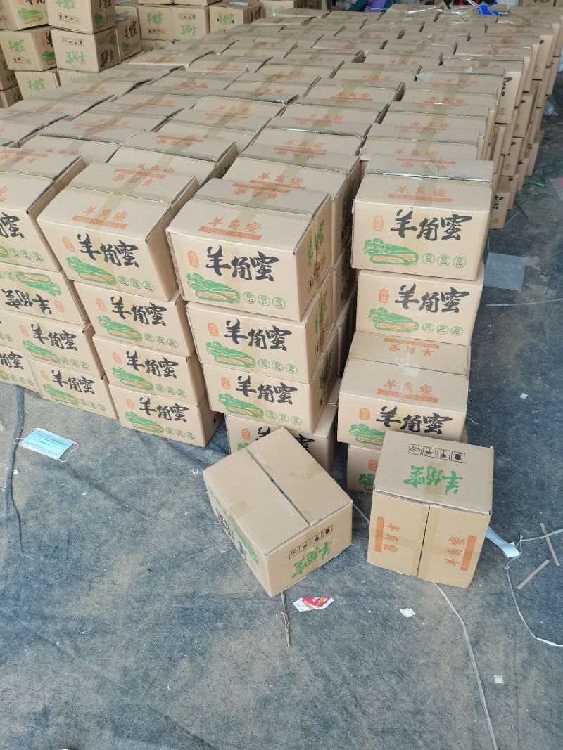 羊角蜜甜瓜，产地代发，对接电商，团购，超市，供应店