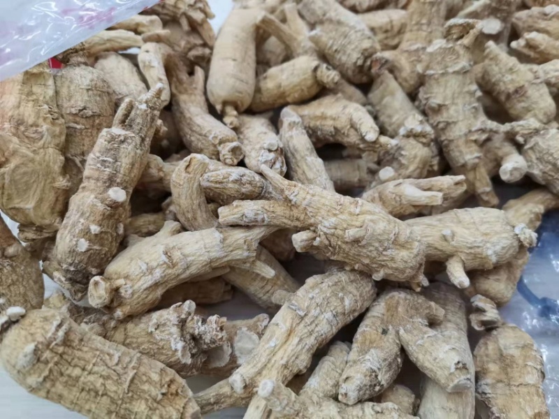 西洋参【大货批发】加拿大西洋参10-20克#浅花皮货精选
