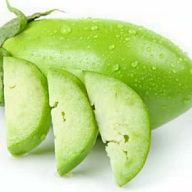 广东徐闻200亩大户种植现摘优质新鲜青茄，适合电商平台
