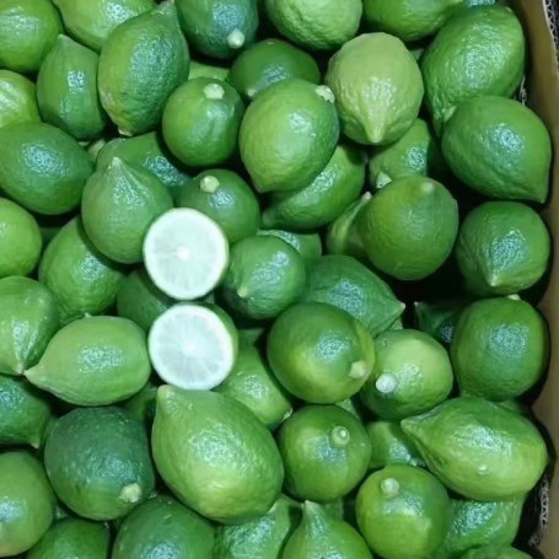 广东香水少量一级果
