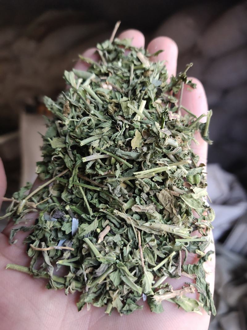 透骨草，颜色青刀工好过筛过沫，一手货源
