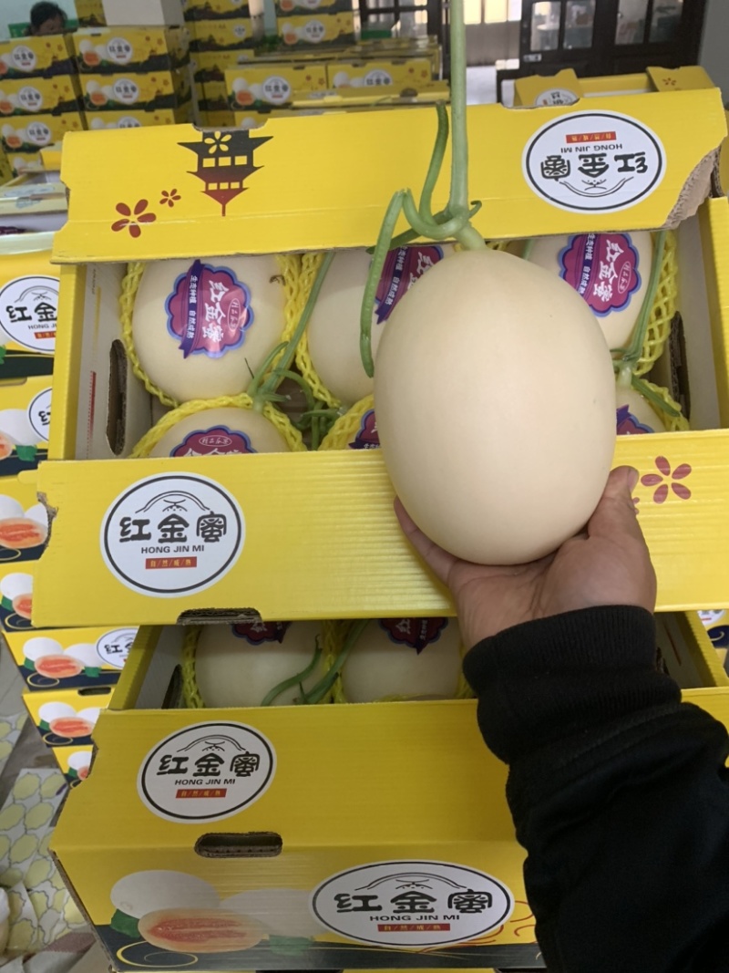 红金蜜万亩产地质量好口感好对接市场