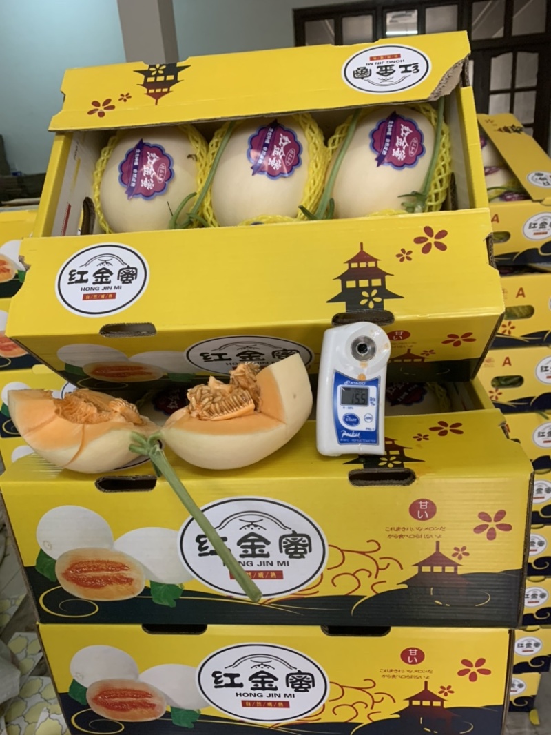 红金蜜万亩产地质量好口感好对接市场