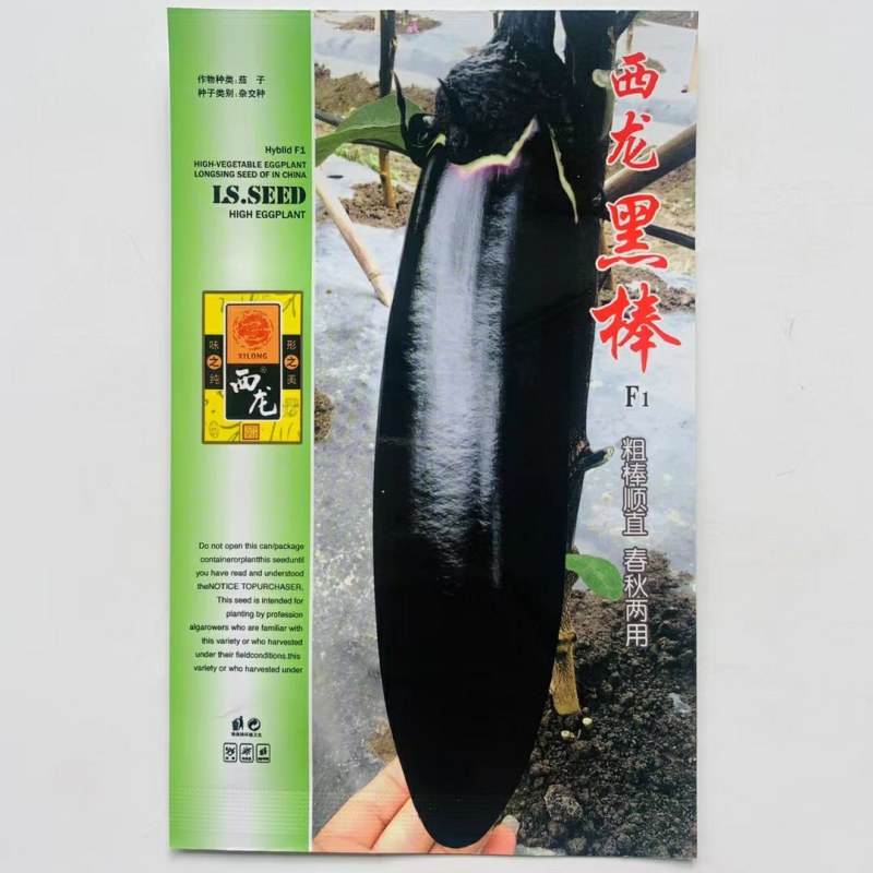 早熟长黑茄子种子烧烤茄子春秋种植较强抗病性果型美观