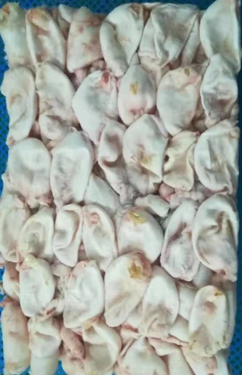 鲤鱼泡。鲢鱼泡，放气泡。鼓皮泡。