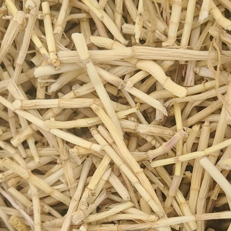 河北产地白茅根段含量高，足干，色泽白这是新货