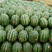 甜王西瓜，安徽甜王西瓜，产地直销一手货源对接全国包质量