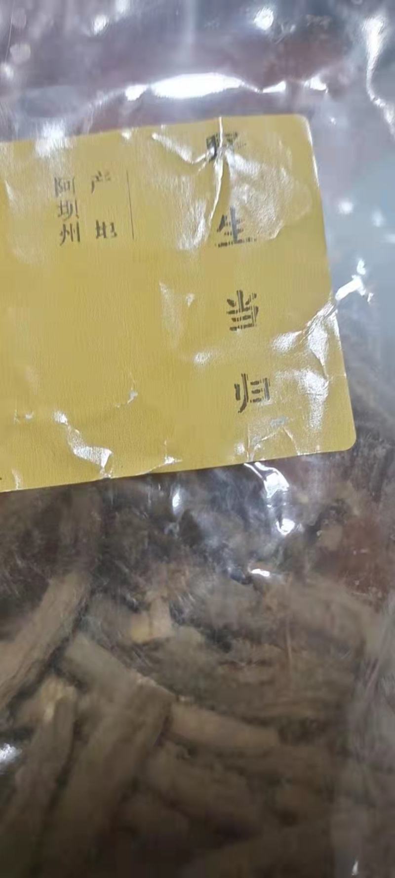 野生当归