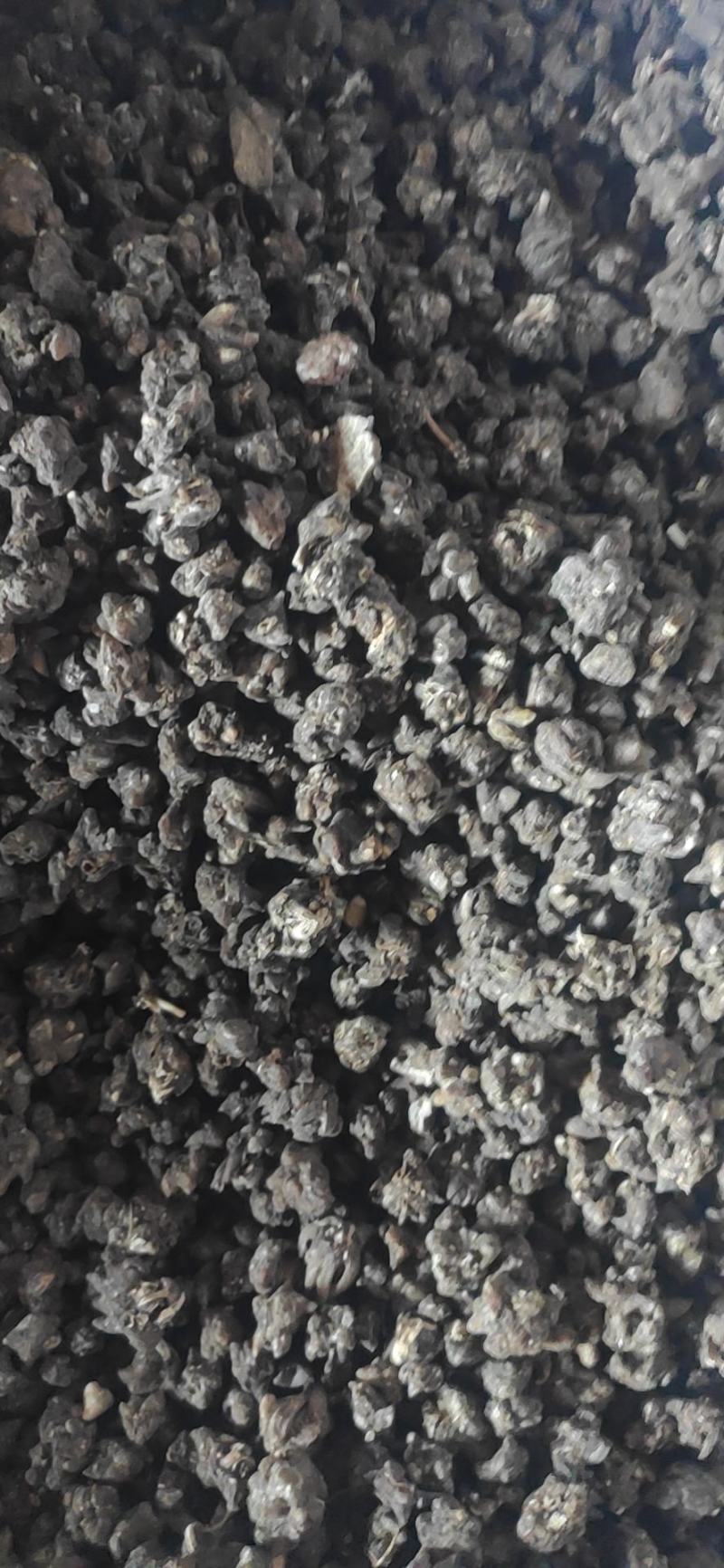 猫爪草干货猫爪草中药材量大从优欢迎选购！