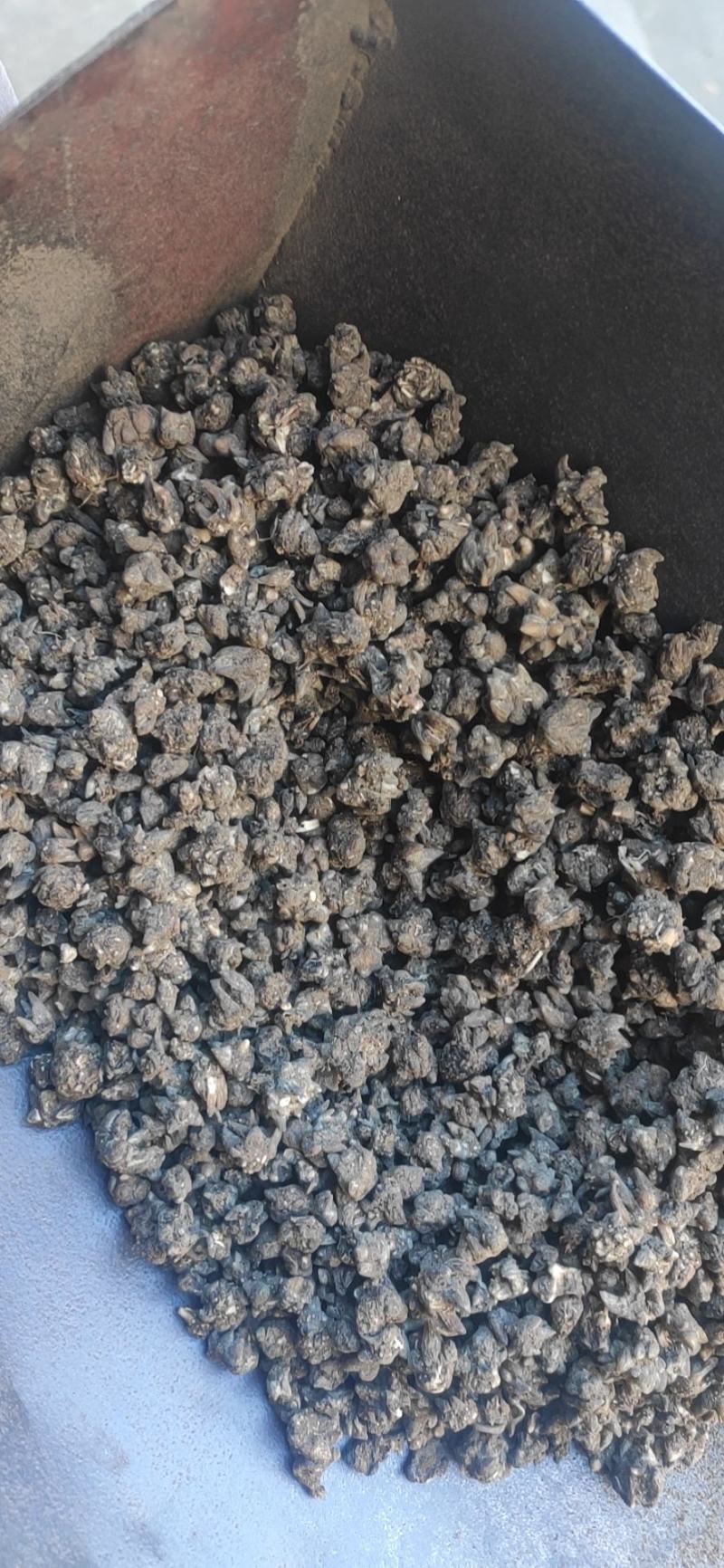 猫爪草干货猫爪草中药材量大从优欢迎选购！