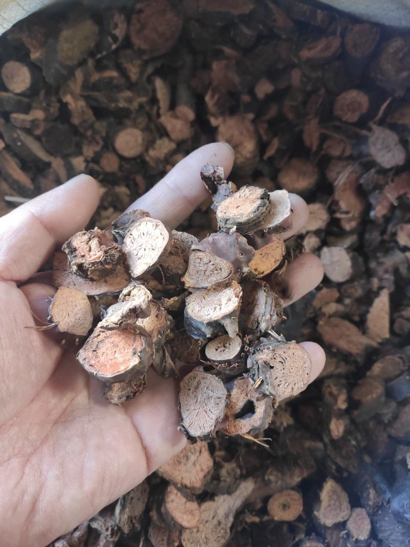 红景天干货中药材量大从优欢迎选购！