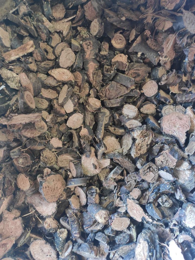 红景天干货中药材量大从优欢迎选购！