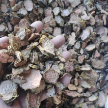 红景天干货干净无杂质量大从优