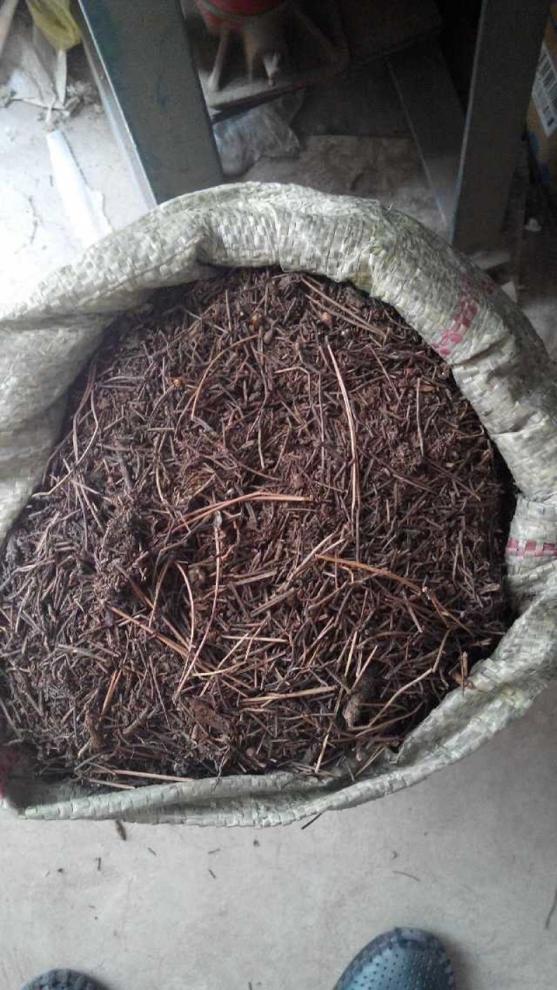 大山里的优质腐殖土，绿化养花，园林工程改良土壤佳品