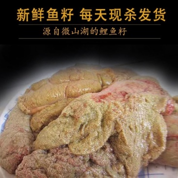 新鲜鲤鱼籽淡水新鲜鱼籽鲜活水产冷链运包邮