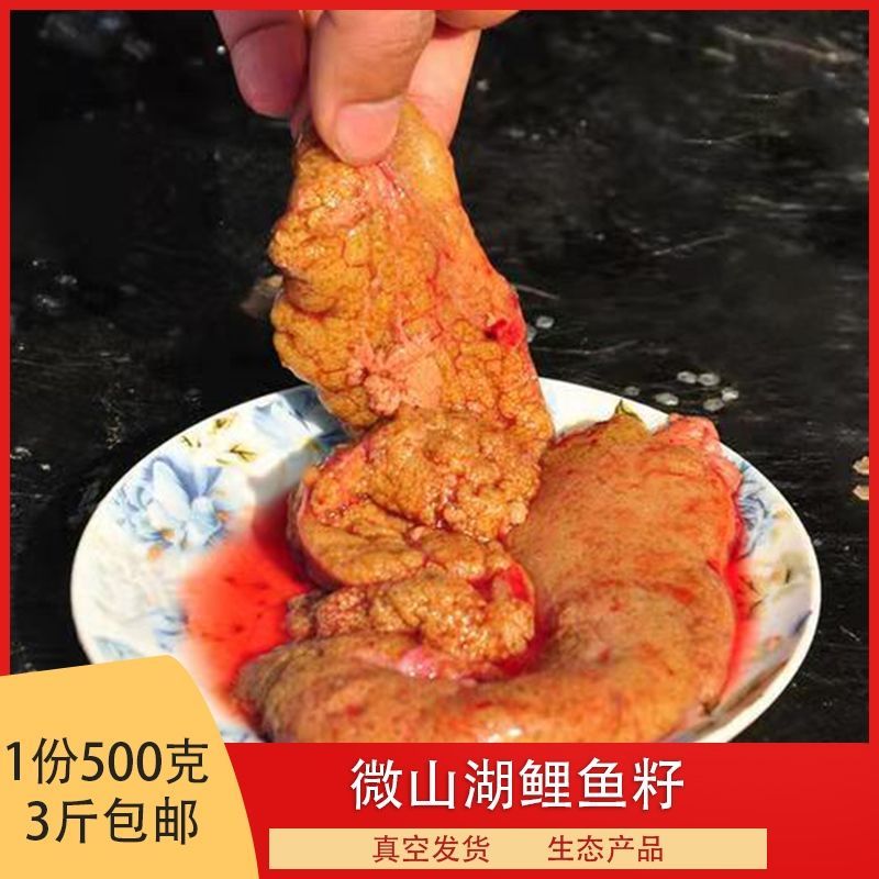 新鲜鲤鱼籽淡水新鲜鱼籽鲜活水产冷链运包邮