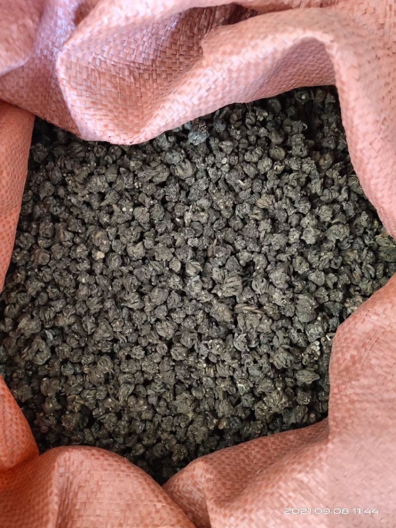 大别山正宗产地中药材猫爪草小毛莨三散叶