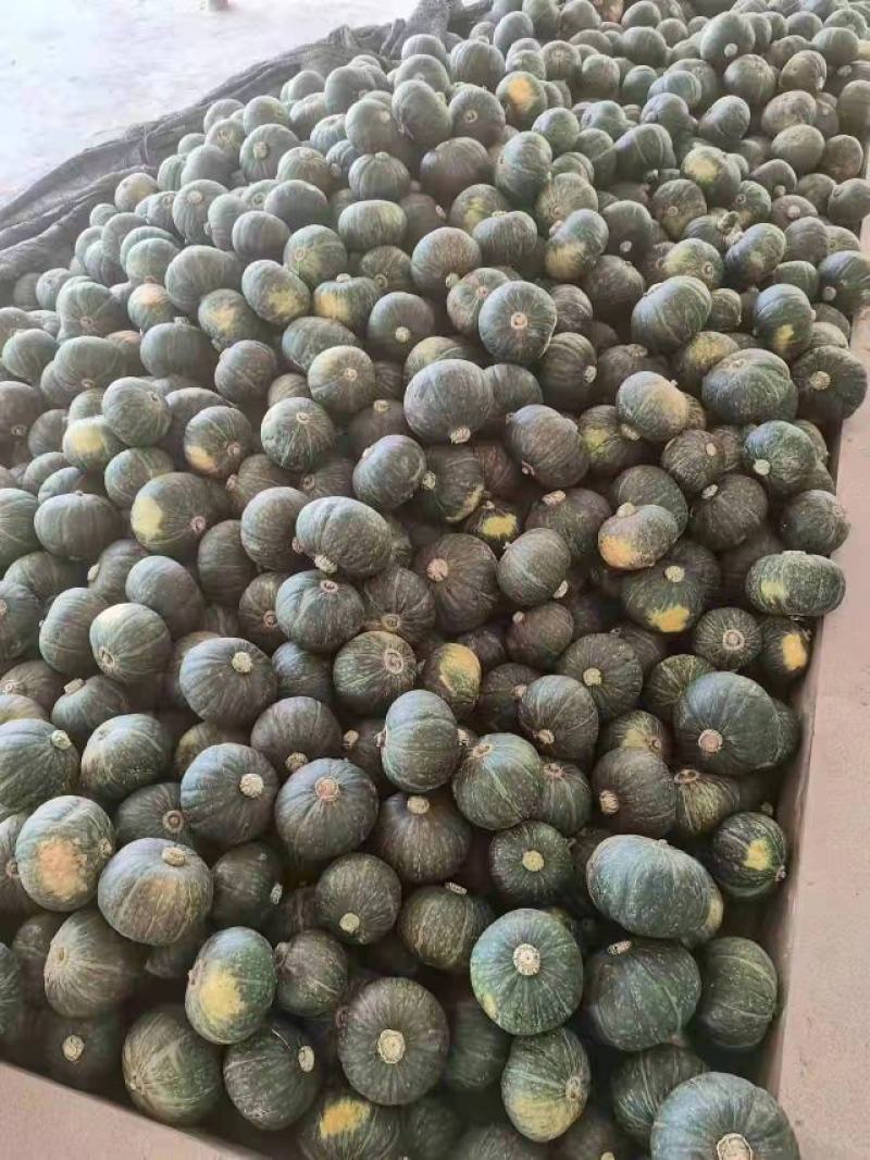 板栗南瓜