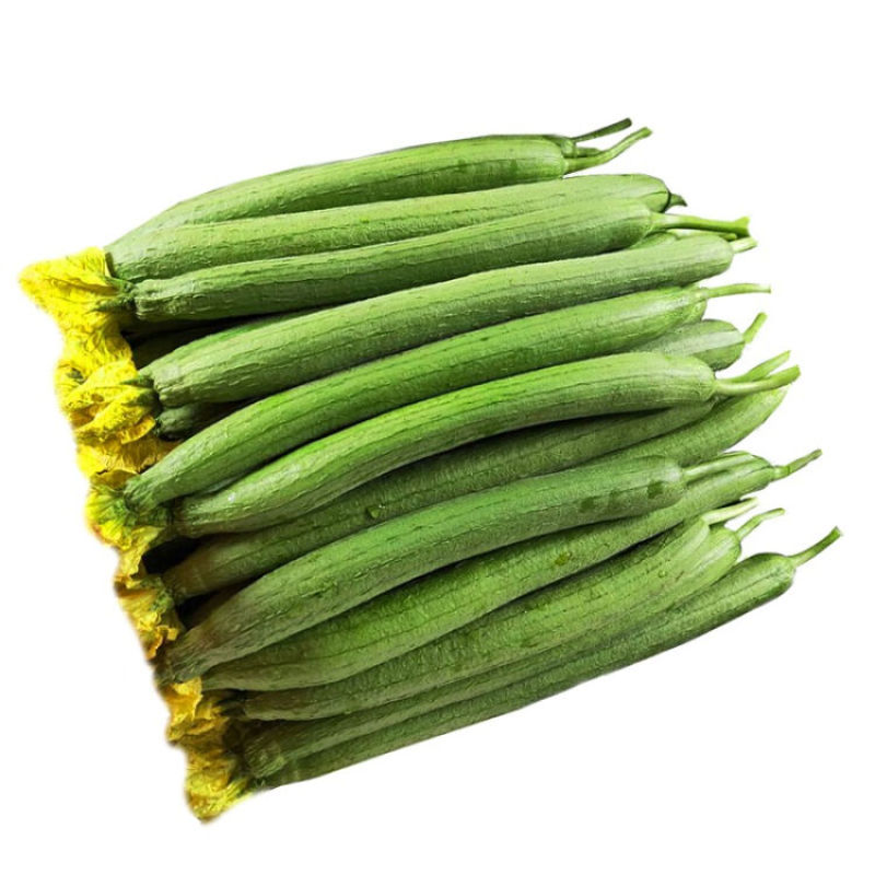 丝瓜自提