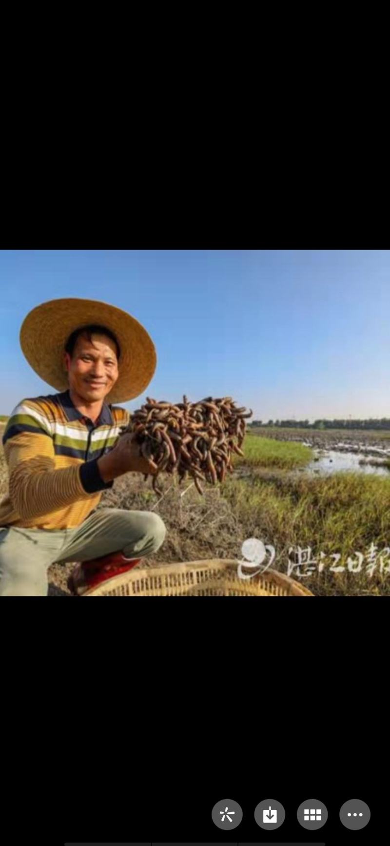 广东泥丁，泥虫