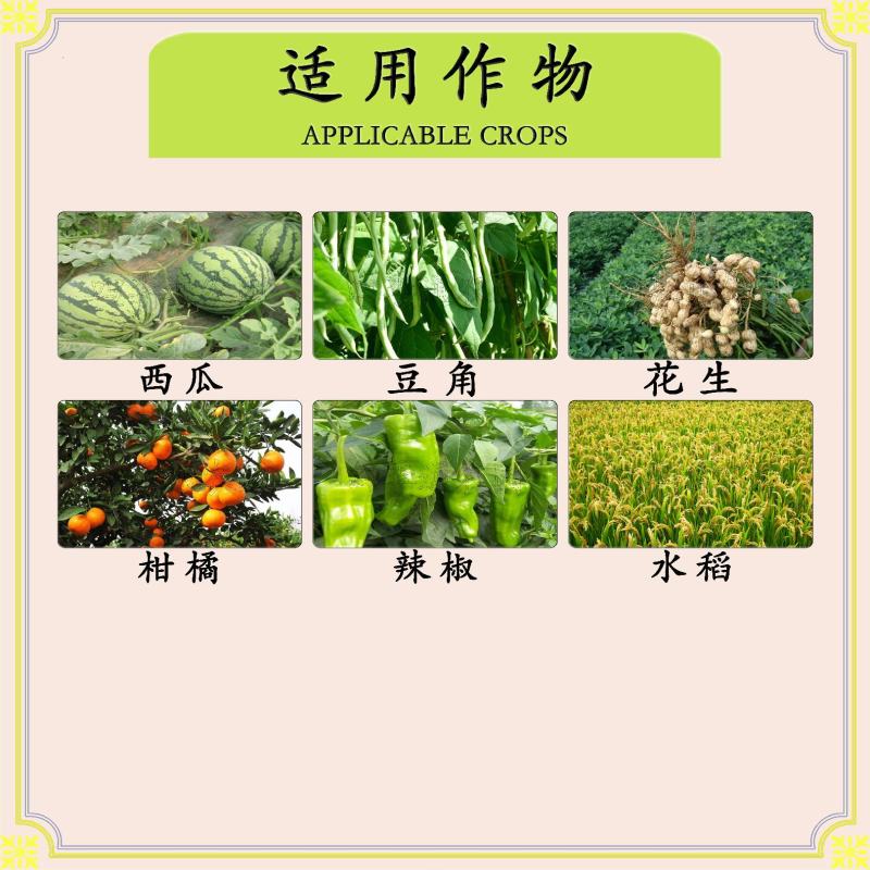 农精灵48%苯甲嘧菌酯西瓜炭疽病水稻稻瘟病农药杀菌剂