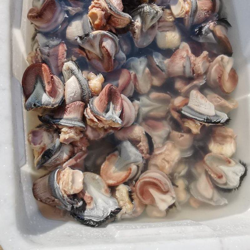 新鲜驴蹄精品新鲜驴肉带皮驴肉，厂家直发，货源充足品质保证