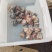 新鲜驴蹄精品新鲜驴肉带皮驴肉，厂家直发，货源充足品质保证