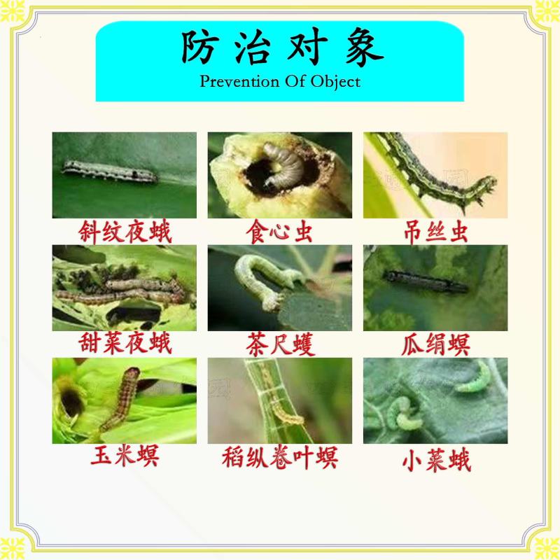 锣鼓15%甲维茚虫威食心虫钻心虫斜纹夜蛾稻纵卷叶螟吊丝虫