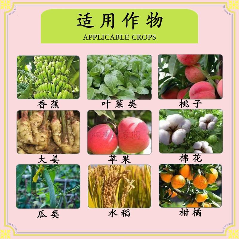 锣鼓15%甲维茚虫威食心虫钻心虫斜纹夜蛾稻纵卷叶螟吊丝虫