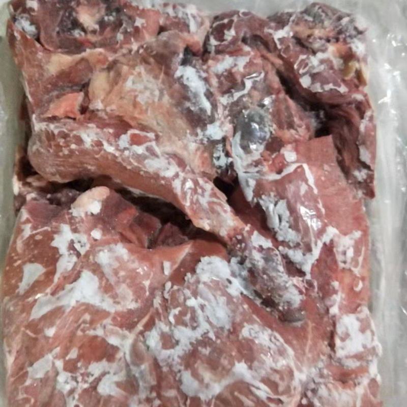 母猪24号肉