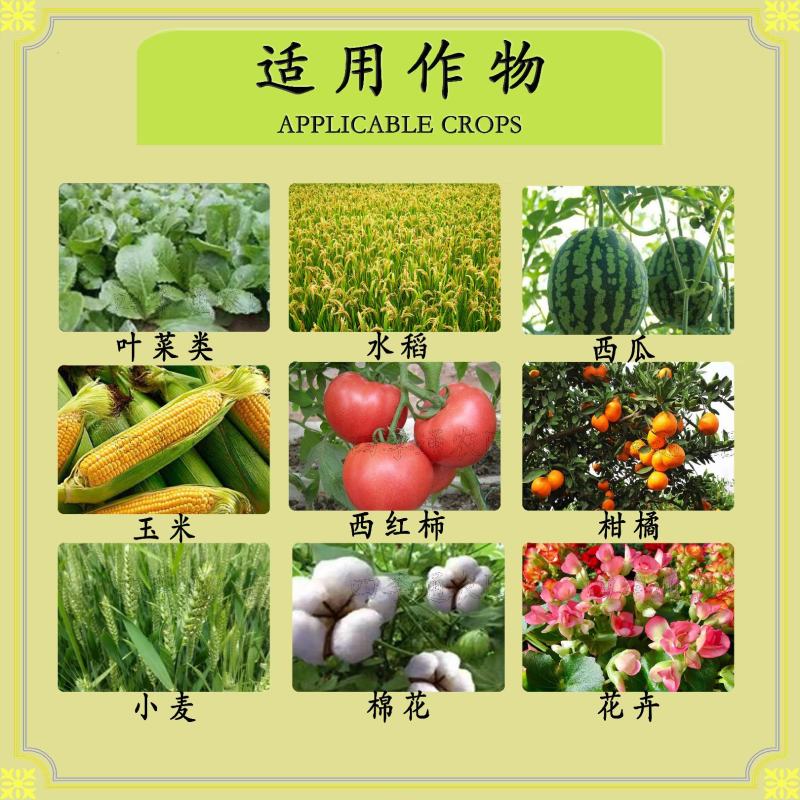 嘉绿元11%乙螨唑红蜘蛛茶黄螨二斑叶螨朱砂叶螨黄蜘蛛