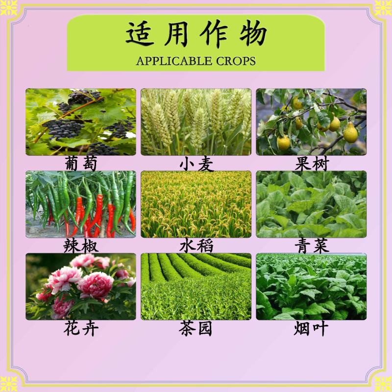 嘉绿元30%苯甲丙环唑叶斑病靶斑病纹枯病赤霉病蔓枯病