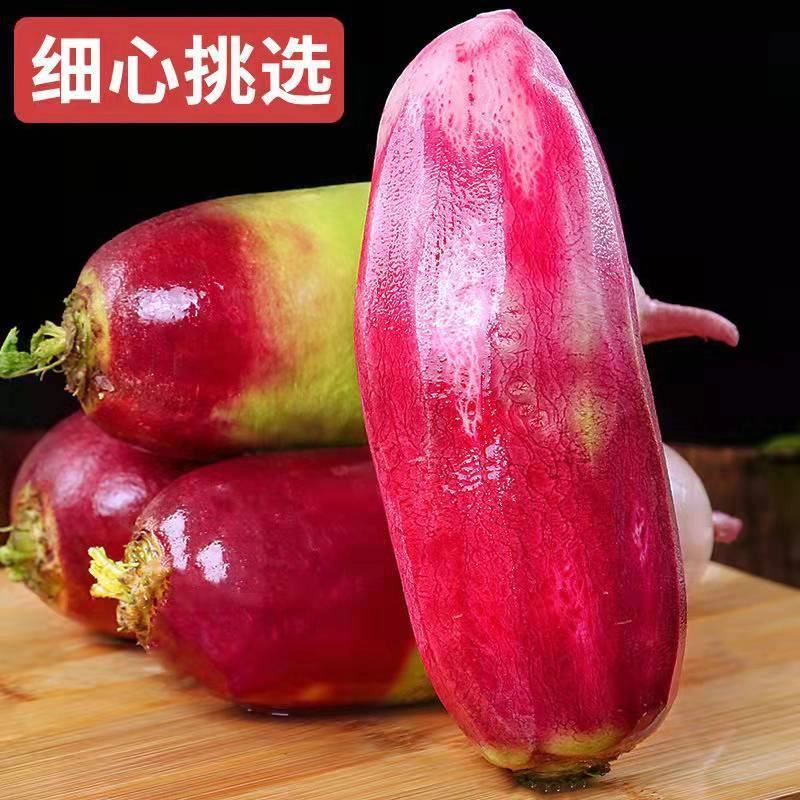 凤梨萝卜水果萝卜紫美人萝卜精品萝卜产地直发一手货源