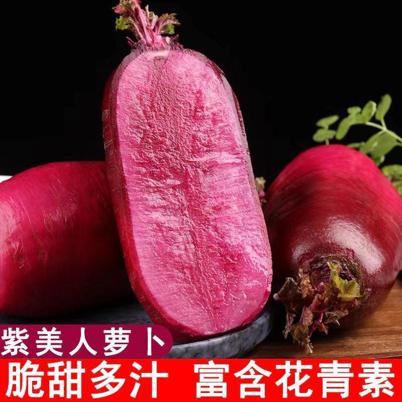 凤梨萝卜水果萝卜紫美人萝卜精品萝卜产地直发一手货源