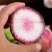 山东三色冰淇淋萝卜三色冰激凌承接电商产地直发一手货