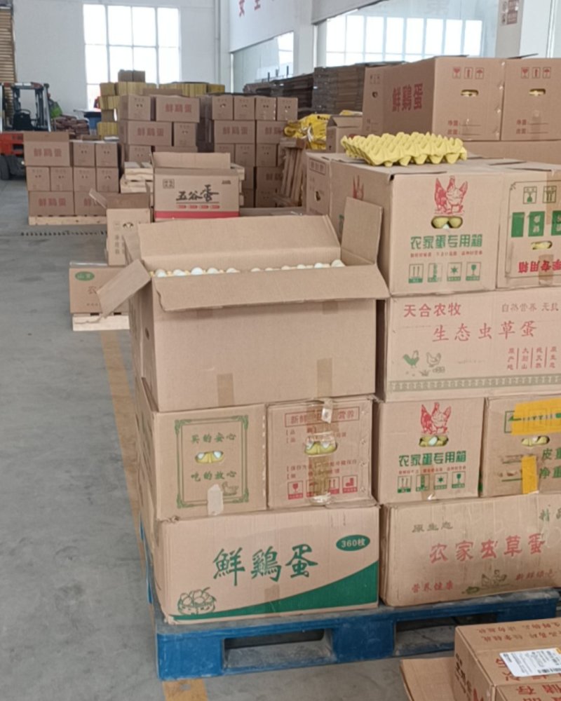 新鲜绿壳鸡蛋土鸡蛋虫草蛋草鸡蛋乌鸡蛋整件批发