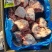 3237后肘骨一个4-5两大小均匀含肉率高