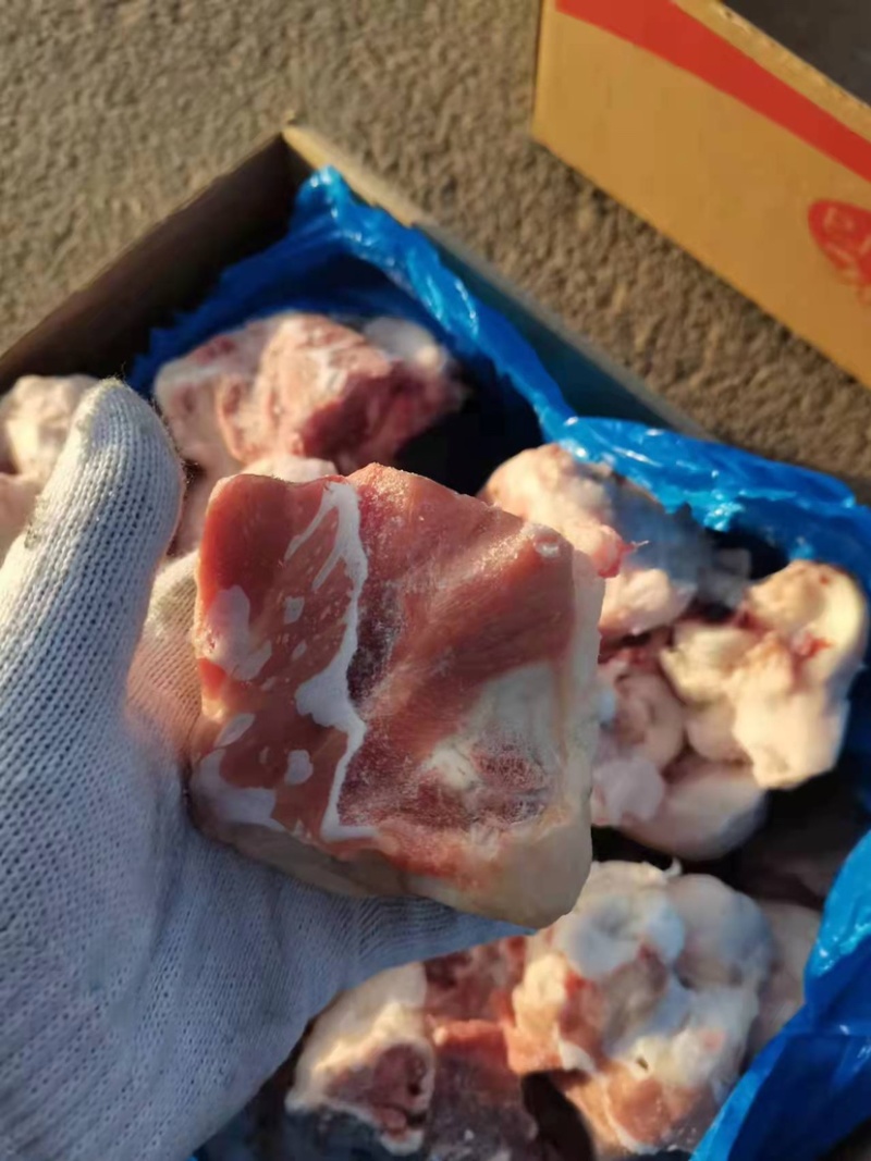 3237后肘骨一个4-5两大小均匀含肉率高