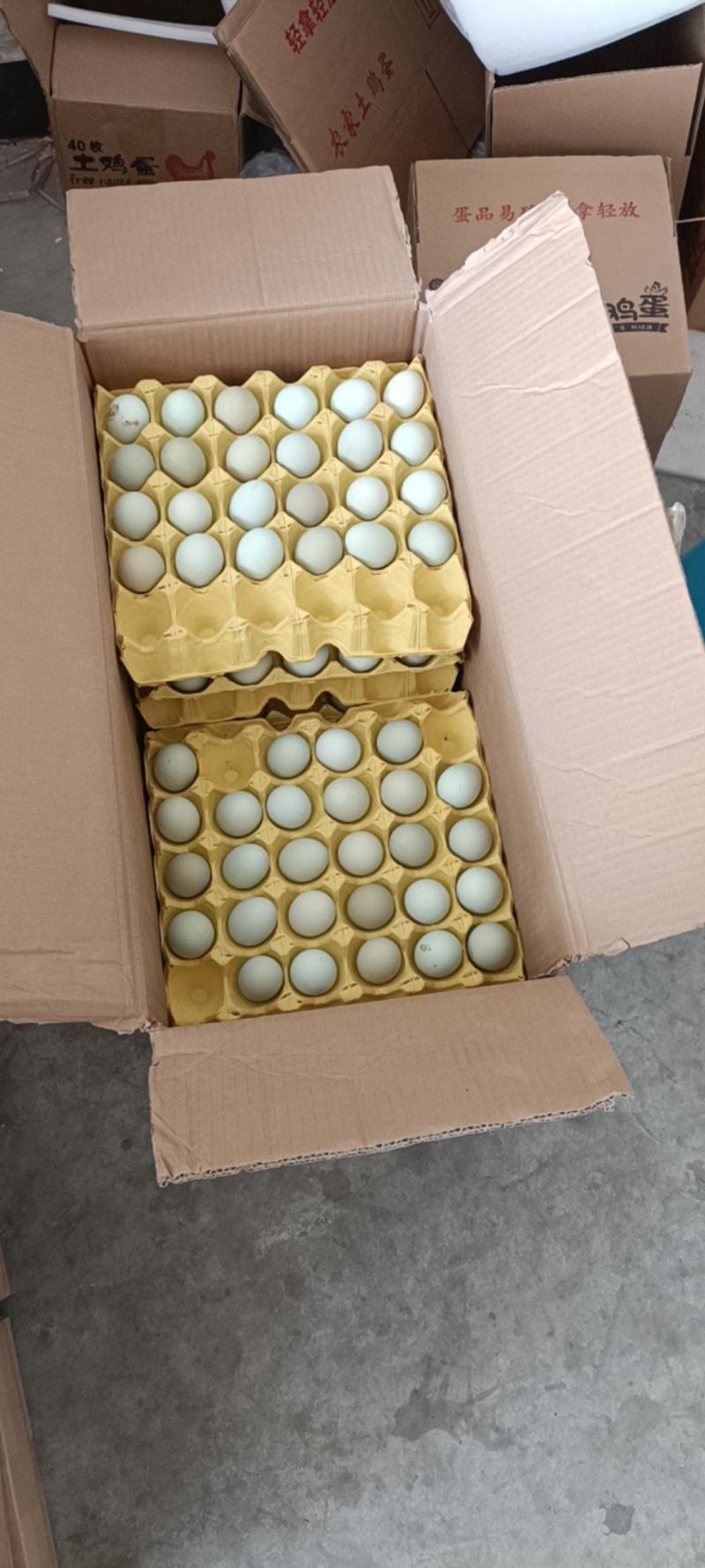 新鲜绿壳鸡蛋土鸡蛋虫草蛋草鸡蛋乌鸡蛋整件批发
