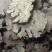 中药材川芎川芎片500g包邮川芎中药材500G包邮川