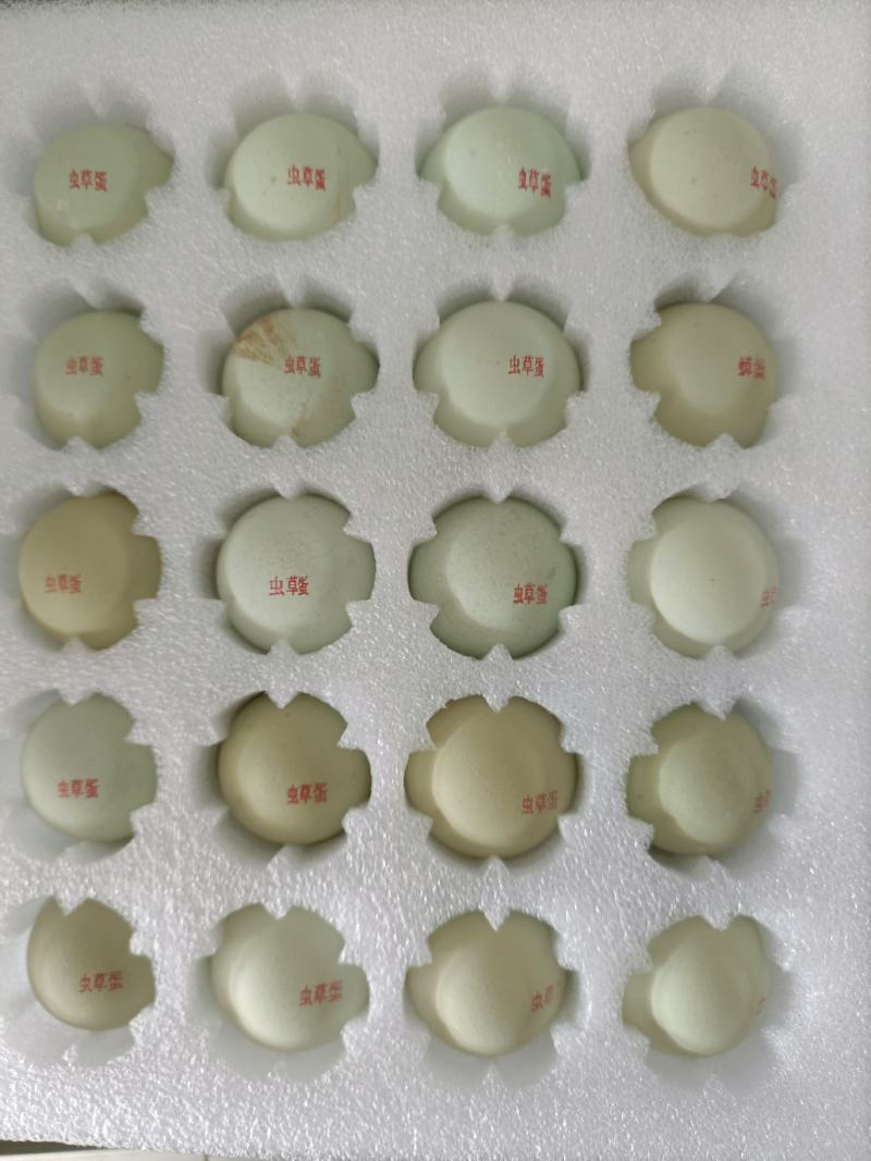 新鲜绿壳鸡蛋土鸡蛋虫草蛋草鸡蛋乌鸡蛋整件批发